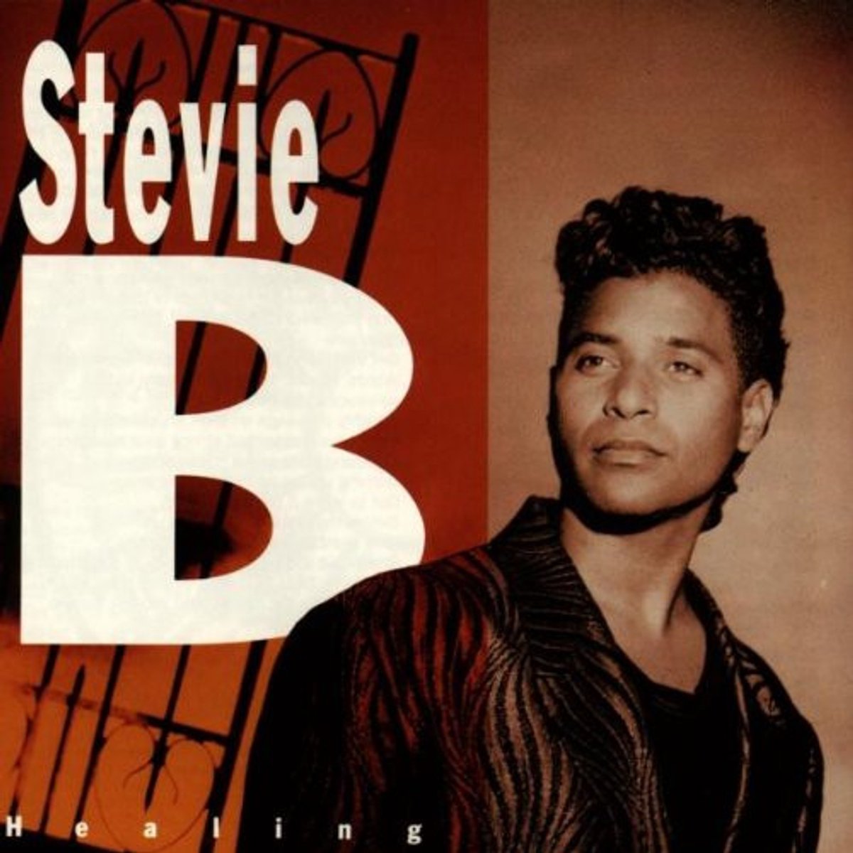 Healing von Stevie B.