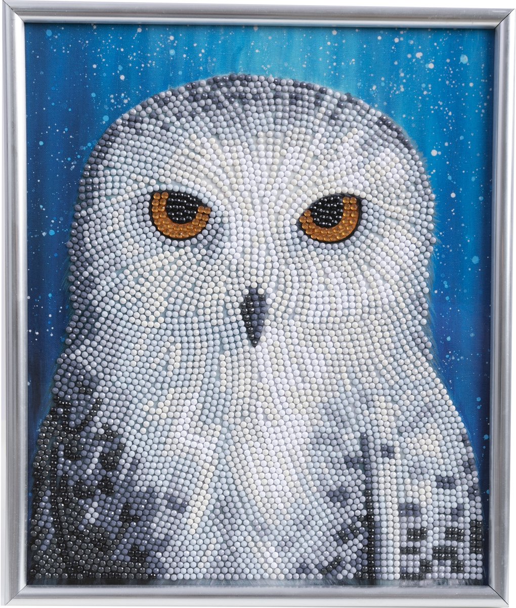 Crystal Art Snowy owl by night (21x25cm/partial) diamant painting