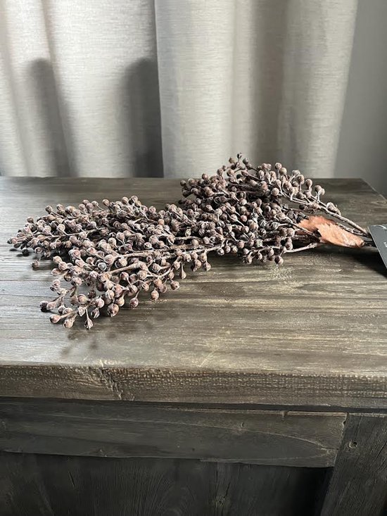 Bruine, gedroogde dadeltak met kleine besjes op een houten tafel.