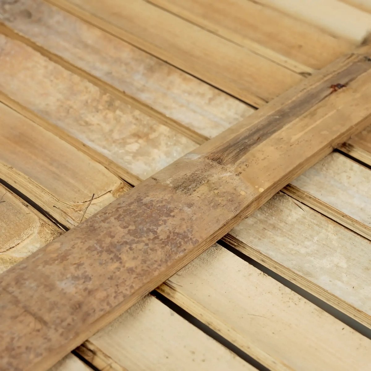 Masters of Bamboo® Bamboe Schutting Budget Zonder Touw - 90 x 200 cm - Naturel - Tuinscherm / Bamboe scherm