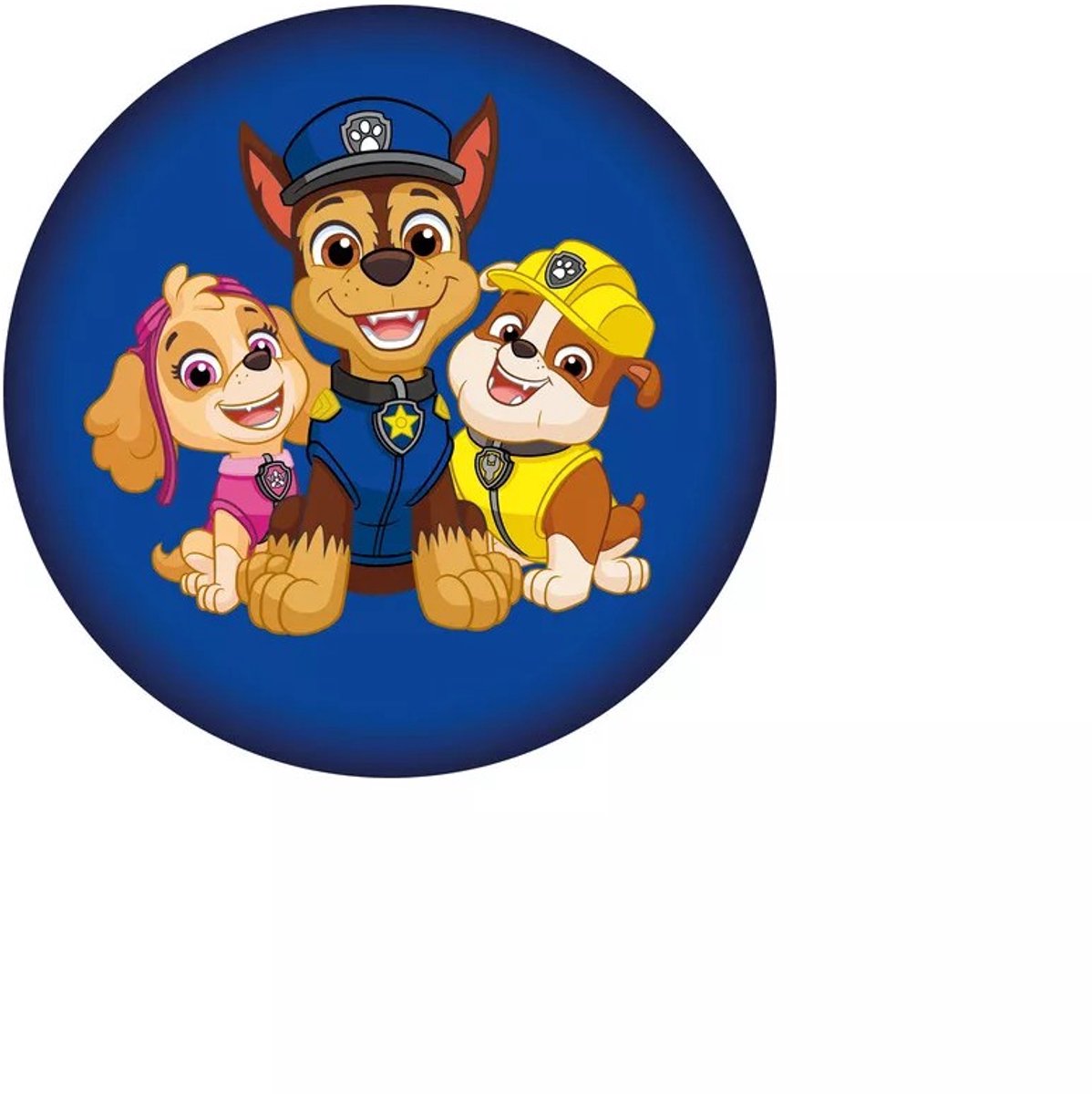 PAW Patrol sierkussen Squad 37 x 37 cm Blauw