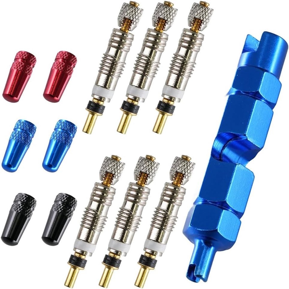 Complete Tool Kit voor Presta en Schrader Ventielen, Inclusief Adapter en Ventieldoppen voor MTB en Racefietsen, 13 Stukken, Fietsaccessoires en Onderhoudsset