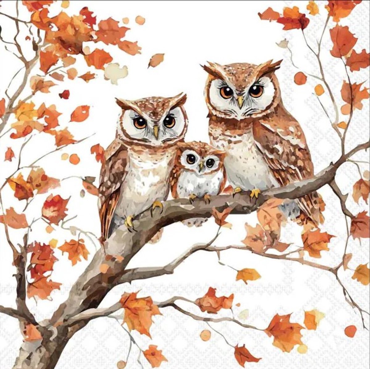 Lunch Servetten Family of owls - Ambiente - 33x33 cm