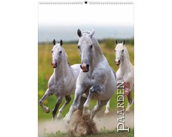 Paarden kalender 2027
