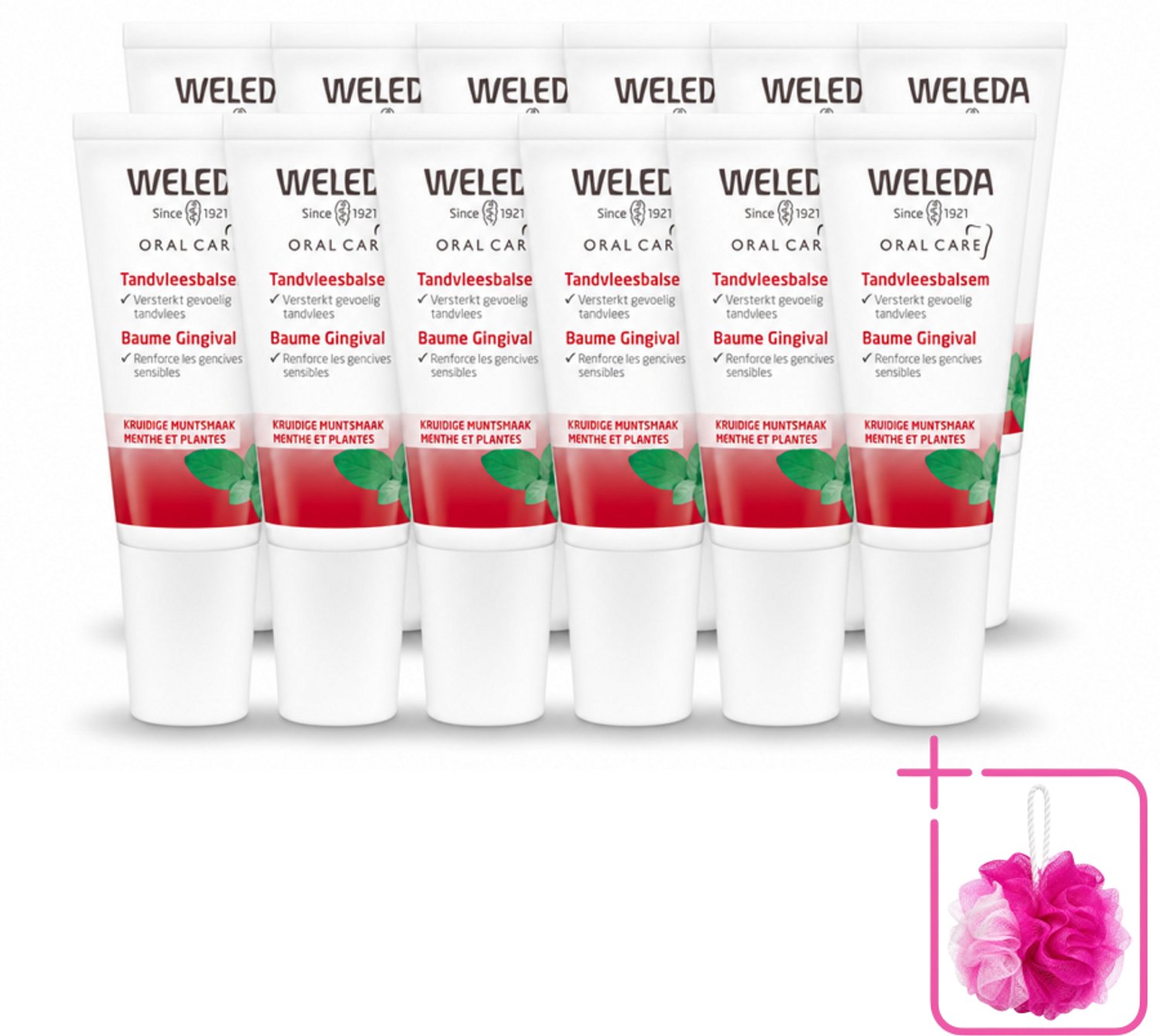 12 x WELEDA - Tandvleesbalsem - 30 ml - Bulkverpakking - Tandvleesbalsem - Douchemop - Tandvlees verzachten