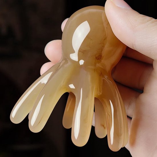 5 Stuks Octopus Hoofdmassage Kam Puntmassage Kam Gua Sha Tool Spa Handmassage Tool Voor Zus En Geliefde — afbeelding 2