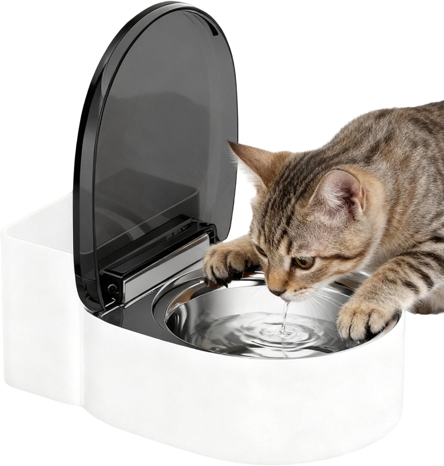 Katten Drinkbakken Grappige Toiletvormige Drinkbak Zonder Morsen