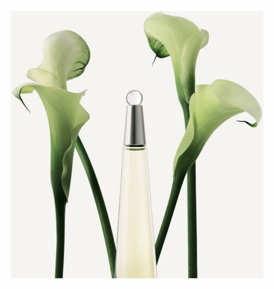 Issey Miyake L'Eau Dissey 100 ml Eau de Toilette - Damesparfum