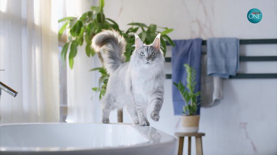 PURINA ONE Adult - Kattenbrokjes - Kip & Volkoren Granen - 7.5 kg