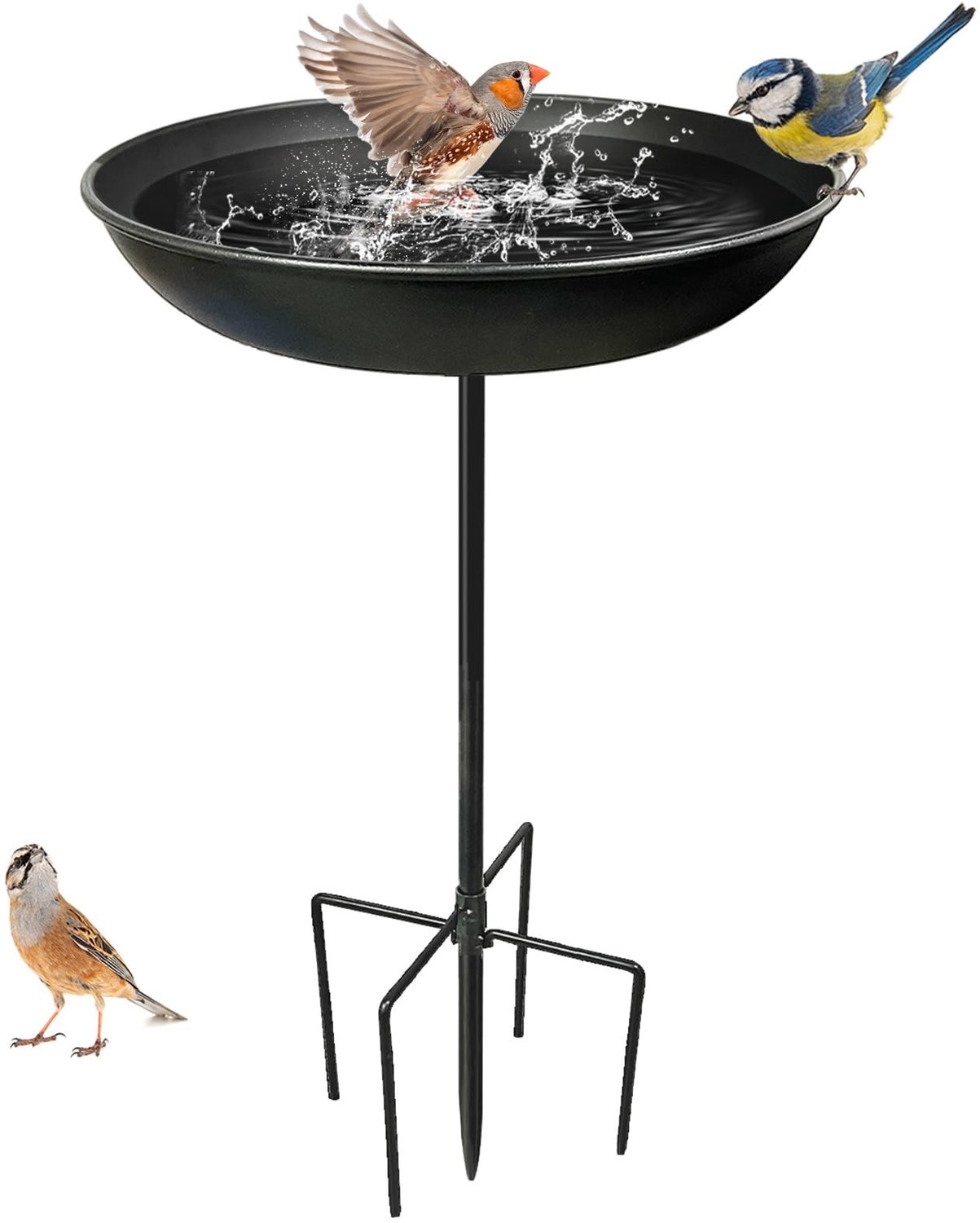 Tuin Vogelbad van Metaal met 5 Grondsteken