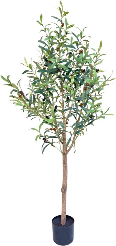 Olivier artificiel de 150 cm avec feuilles vertes et petites olives dans un pot noir, isolé sur fond blanc.