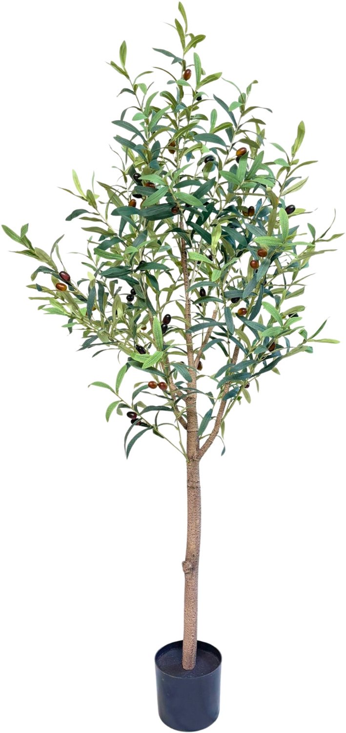 PrettyPlants Kunst Olijfboom 150 cm | Olijf Kunstplant | Kunstplanten voor Binnen | Mediterrane Kunstboom Groen