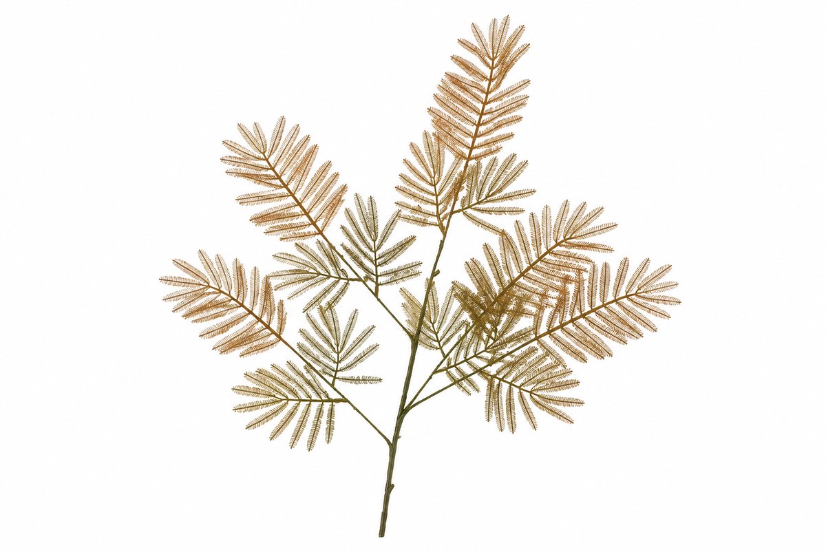 Daan Kromhout - Kunsttak - Varen - Groen - Bruin - 90 cm - Herfst