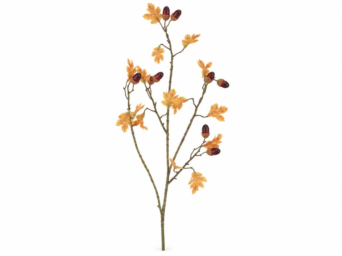 Daan Kromhout - Kunsttak - Eikenblad met Eikels - Herfst - Silk - 90cm - Eiken