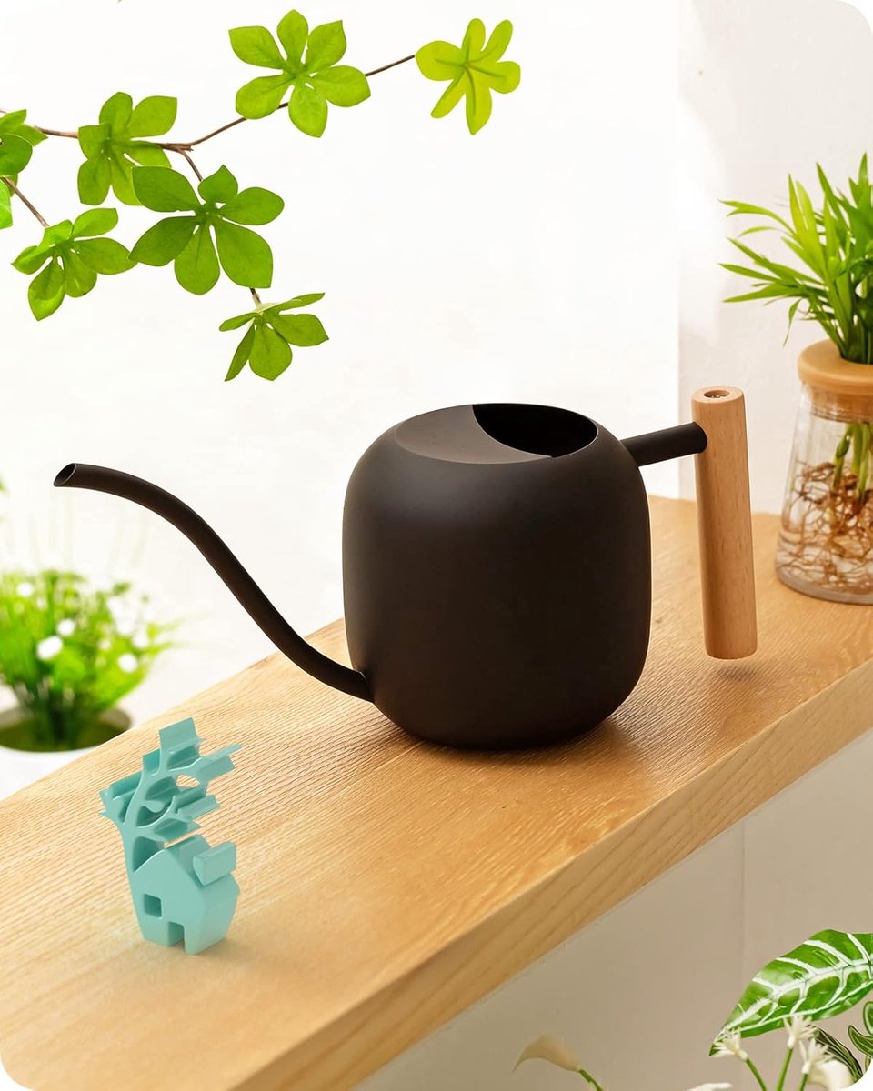 SnelShoppen - Indoor Watering Can 1.2L RVS Gietkan met Houten Handvat - Metaal Waterkan voor Kleine Planten en Bonsai - Zwart - Tuin en Huishouding