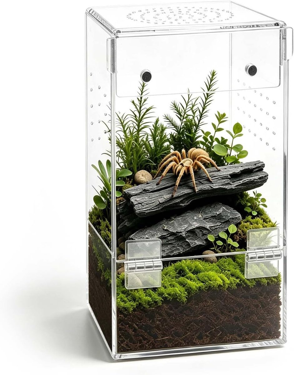 SnelShoppen - Acrylic Terrarium Mini Faunarium voor Springstaarten, 360° Transparante Insectenvoederdoos, 8x8x15 cm, Hoge Ventilatie voor Slakken, Tar