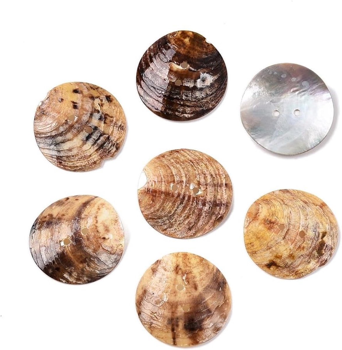 Knopen, Akoya schelpknop, 30 mm (3,0 cm), tomatencrème, ronde knopen met twee gaten van 1,8 mm per gat, 2-gaats knopen, schelpknop om te naaien, naaien, knutselen