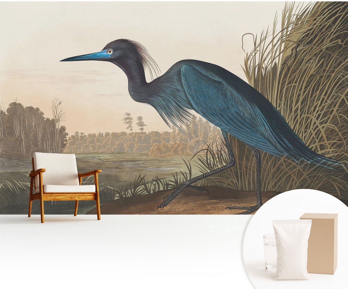 Wallfluent Fotobehang - Groente Vliesbehang - 416x254 cm - Watervogels Fotobehang Vlies - Woonkamer behang Dieren - Muurschildering - Woonkamer behang