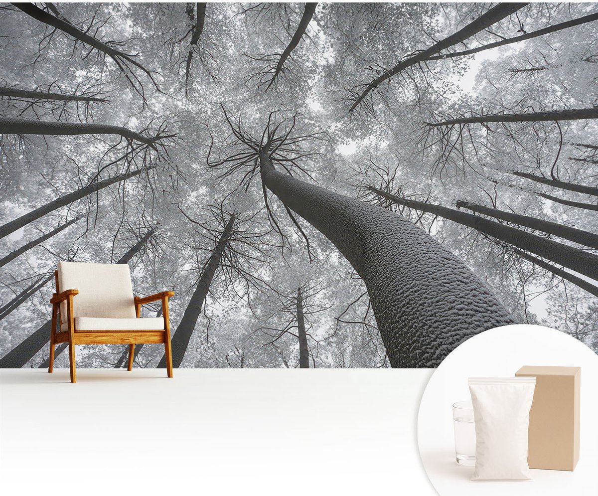 Wallfluent Fotobehang - Zwart-Wit Vliesbehang - 416x254 cm - Winterlandschap Muurschildering - Slaapkamer behang Landschappen - Fotobehang Vlies - Gang behang