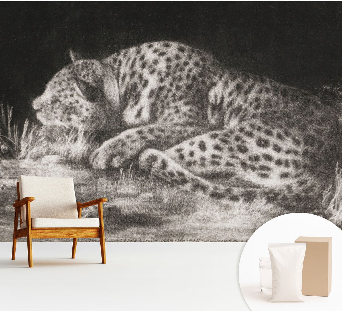 Wallfluent Fotobehang - Zwart-Wit Vliesbehang - 312x219 cm - Luipaard Rustend Muurschildering - Gang behang Dieren - Fotobehang Vlies - Slaapkamer behang