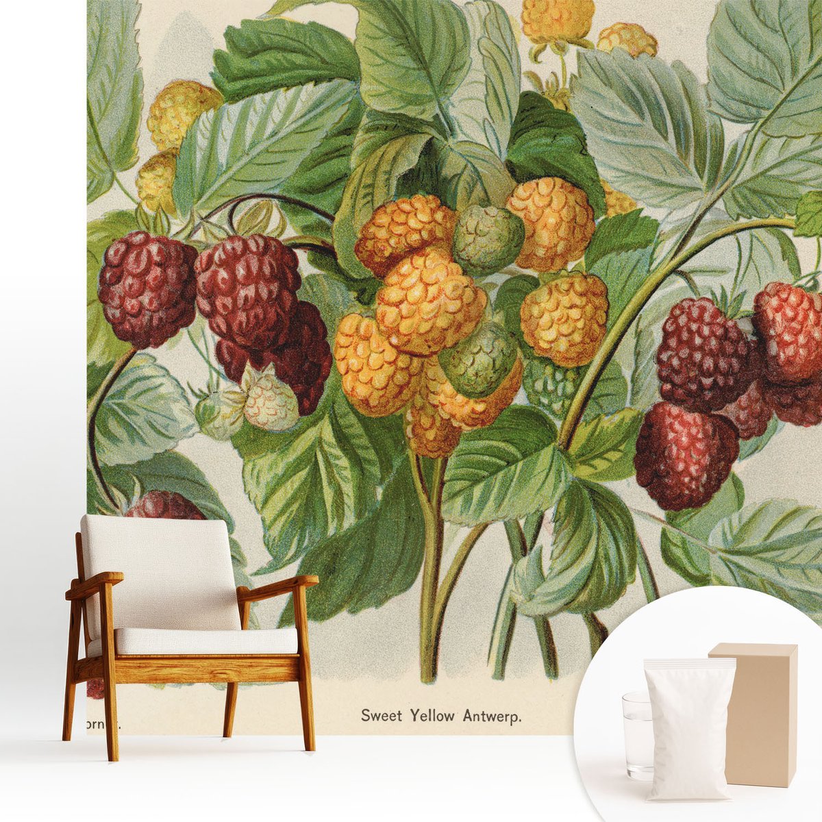 Wallfluent Fotobehang - Groente Vliesbehang - 250x250 cm - Klassieke Frambozen Fotobehang Vlies - Woonkamer behang Bloemen En Planten - Muurschildering - Woonkamer behang