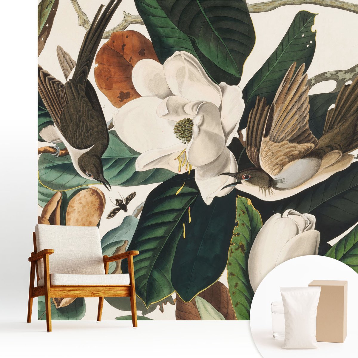Wallfluent Fotobehang - Groente Vliesbehang - 250x250 cm - Vogels Magnolia'S Muurschildering - Slaapkamer behang Dieren - Fotobehang Vlies - Slaapkamer behang
