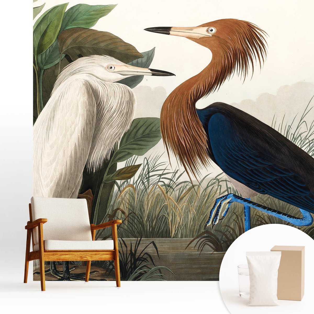 Wallfluent Fotobehang - Groente Vliesbehang - 250x250 cm - Vogels In Planten Fotobehang Vlies - Hal behang Dieren - Muurschildering - Woonkamer behang