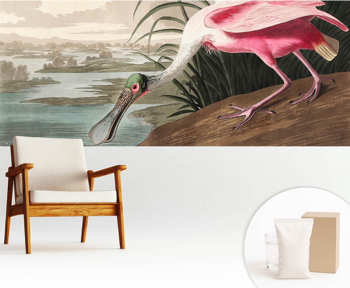 Wallfluent Fotobehang - Grijs Vliesbehang - 250x104 cm - Exotische Vogel Muurschildering - Gang behang Dieren - Fotobehang Vlies - Gang behang