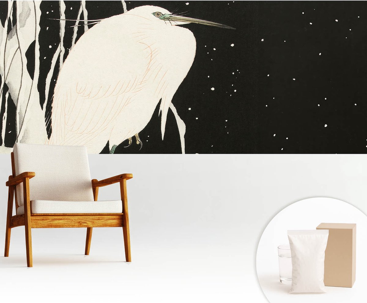 Wallfluent Fotobehang - Wit Vliesbehang - 250x104 cm - Wintervogel Fotobehang Vlies - Woonkamer behang Dieren - Muurschildering - Woonkamer behang