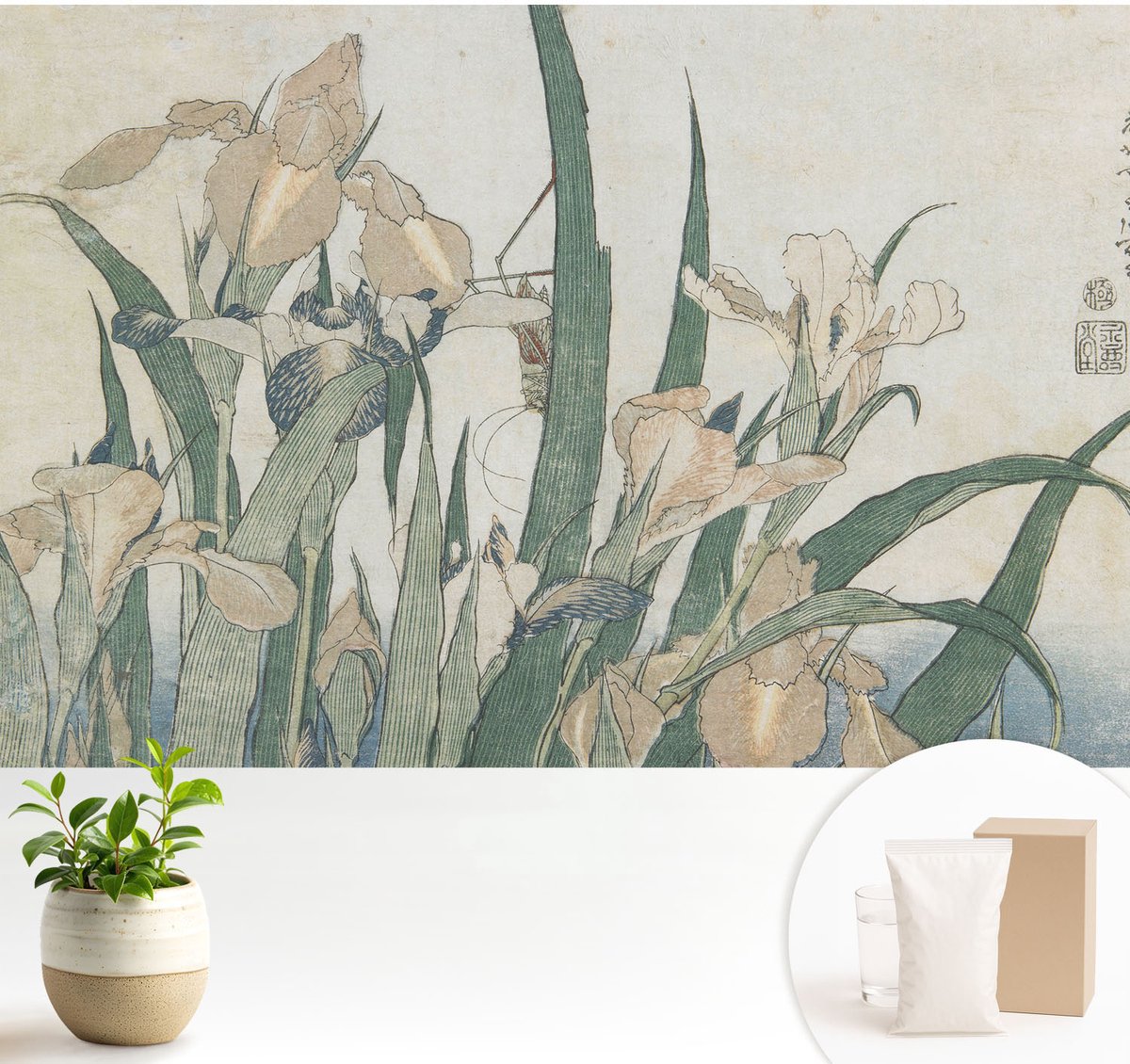 Wallfluent Fotobehang - Wit Vliesbehang - 104x70 cm - Delicate Irissen Fotobehang Vlies - Hal behang Bloemen En Planten - Muurschildering - Hal behang
