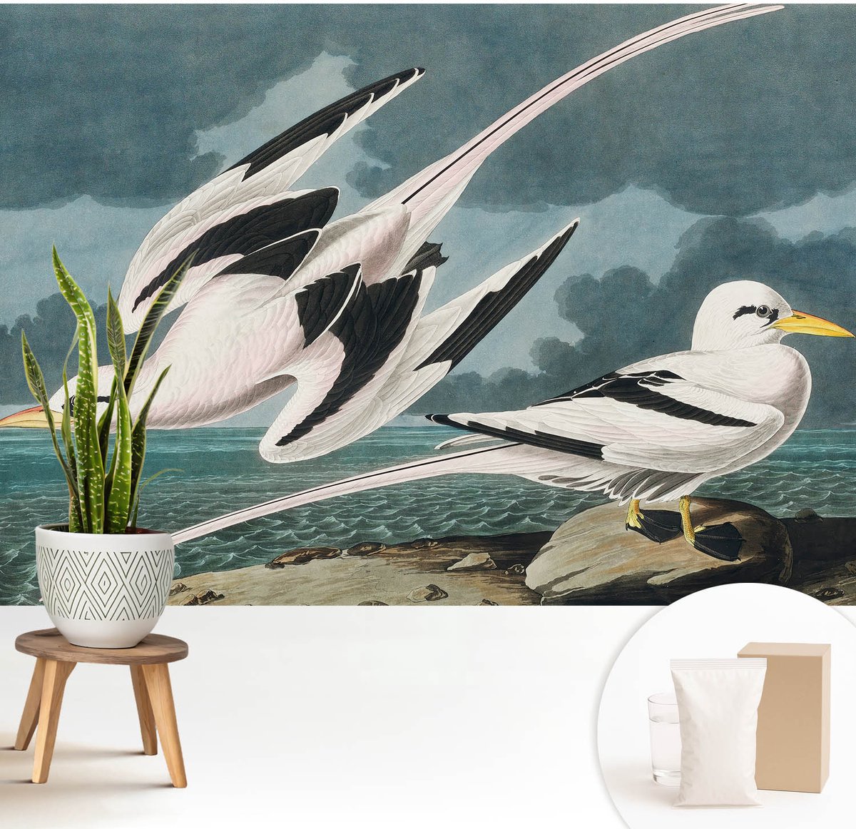 Wallfluent Fotobehang - Grijs Vliesbehang - 208x146 cm - Vogels Aan Zee Muurschildering - Slaapkamer behang Dieren - Fotobehang Vlies - Gang behang