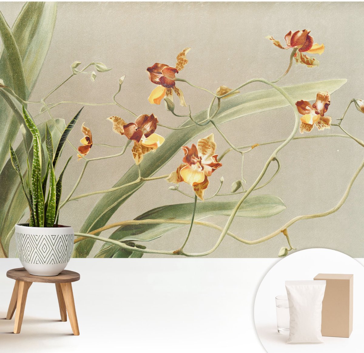 Wallfluent Fotobehang - Grijs Vliesbehang - 208x146 cm - Klassieke Orchideeën Fotobehang Vlies - Woonkamer behang Bloemen En Planten - Muurschildering - Hal behang