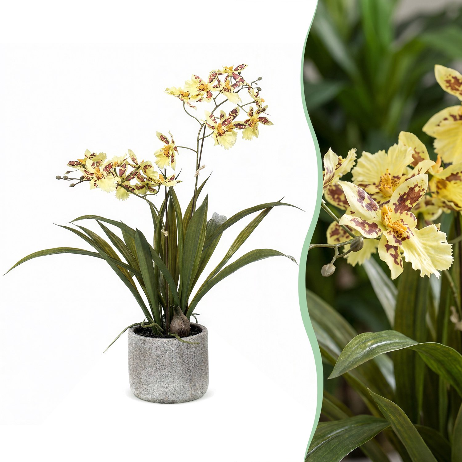 Green Boutiq Kunstplant - Orchidee - Geel - 45cm Bruin