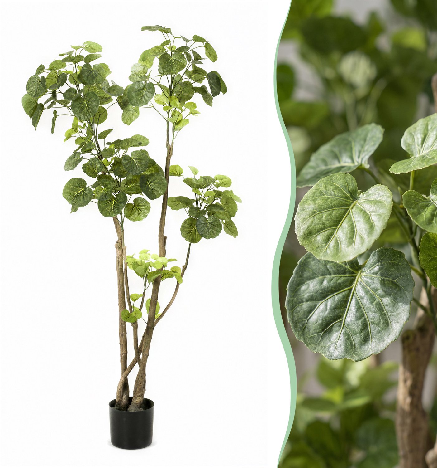 Green Harmony Plants Kunstplant - Polyscias - Aralia - 140 cm Bruin