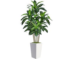 Kunstplant Drakenboom 150 cm met Witte Hoge Pot en Kunstmos – Kunstboom voor Binnen – Realistische Kunstplant met Verstelbare Takken en Bladeren – Onderhoudsvrij en Geurloos – Voor Woonkamer, Slaapkamer en Kantoor