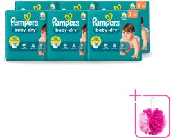 6 x Pampers – Luiers – Baby-Dry Maat 3 (6-10 kg) – 34 Luiers - Bulkverpakking - Babyluier - Douchemop - Babydouche