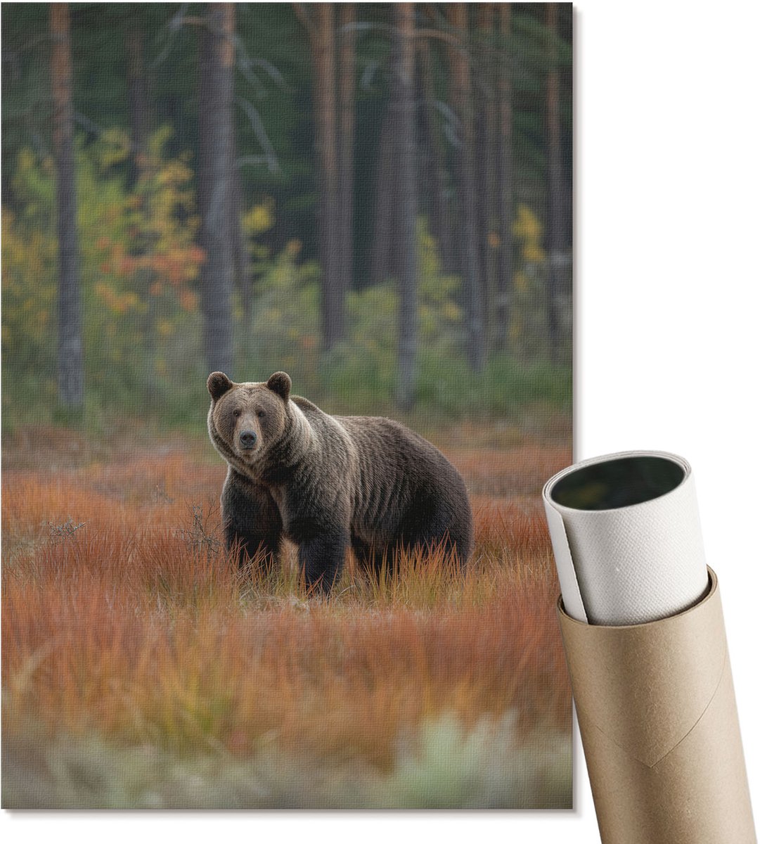 Coloray Polycanvas Wandposter - Beer In Het Bos, Fotografie - A4 - Bruin Poster - Rechthoek - Wandkunstwerk - Woonkamer, Slaapkamer, Kantoor - Klassiek