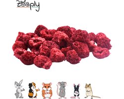 Zooply Framboos - Kruiden & Snacks - 100% natuurlijk - Voor konijnen & cavia's - 60 gram