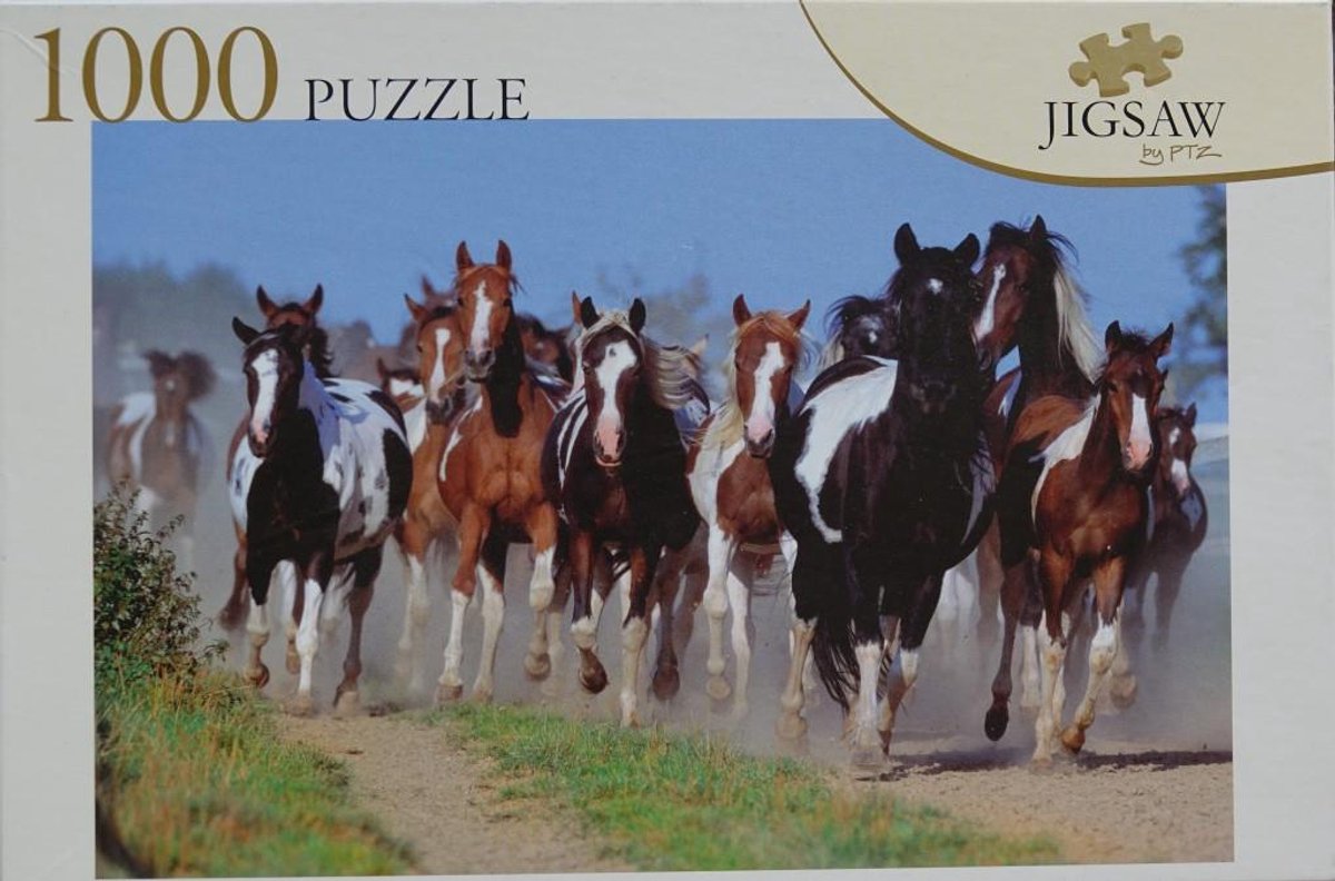 Jigsaw puzzel Bloemen in Vaas 1000 stukjes