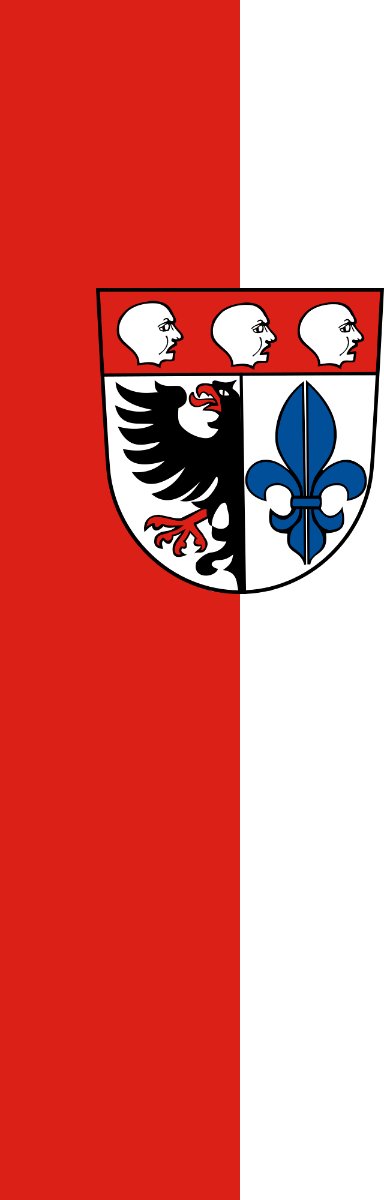 Vlag Wangen 200x300cm