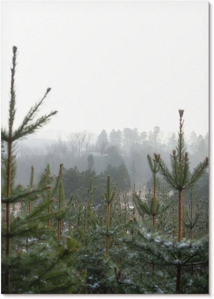 Tulup Polycanvas Wandposter - Groene Naaldbomen, Fotografie - A4 - Groen Poster - Rechthoek - Canvasposter - Woonkamer, Slaapkamer, Kantoor - Klassiek