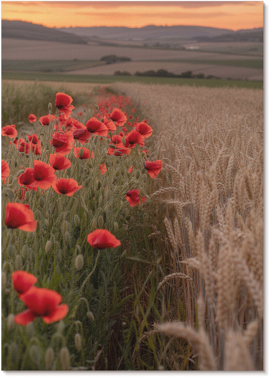 Tulup Polycanvas Wandposter - Klaprozen En Graan, Fotografie - A4 - Oranje Motief - Rechthoek - Muurkunst - Woonkamer, Slaapkamer, Kantoor - Klassiek