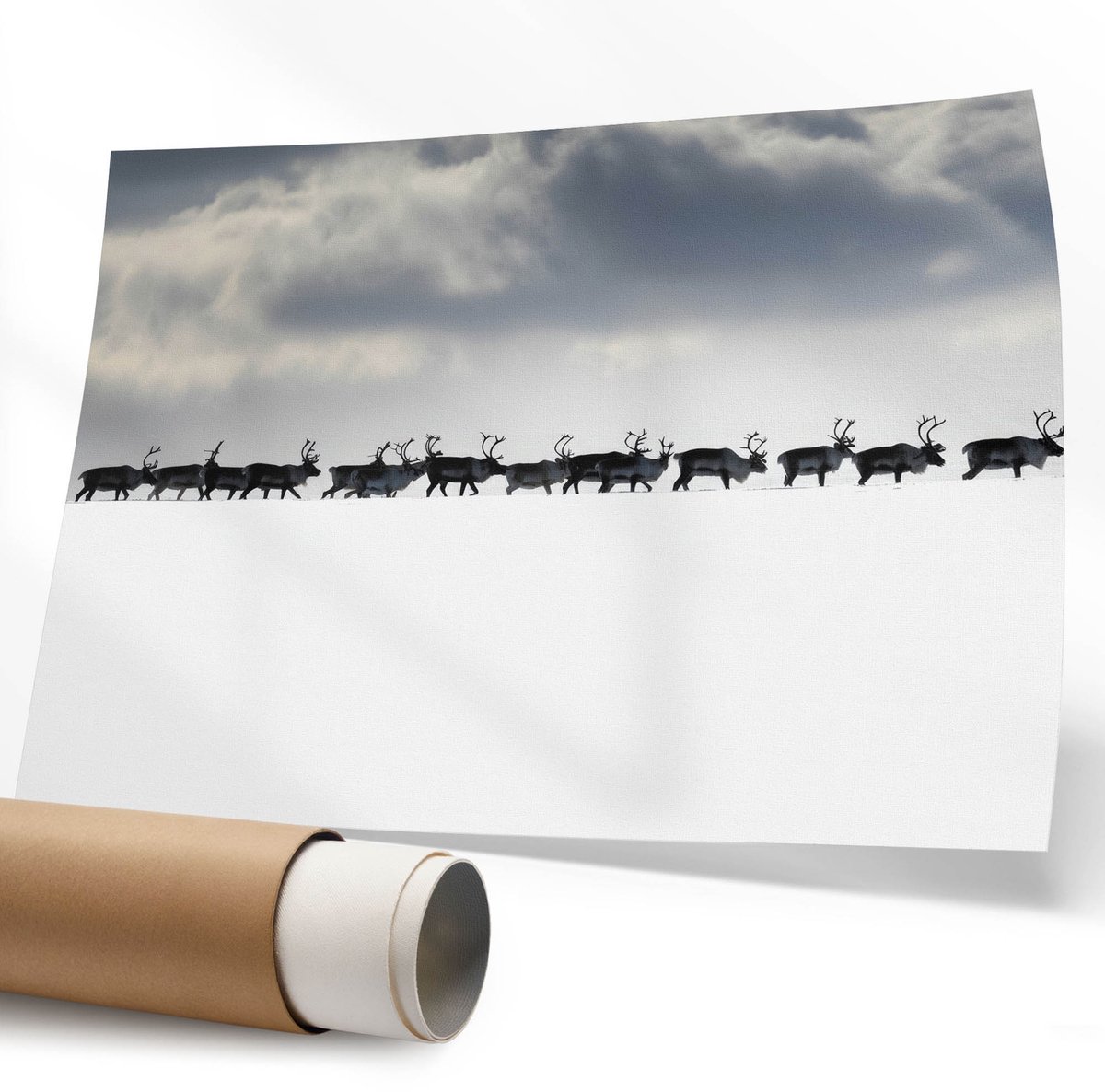 Coloray Polycanvas Poster - Oslo-Illustratie, Typografie - 594 x 840 mm - Zwart Wanddecoratie - Rechthoek - Kunstposter - Slaapkamer - Modern