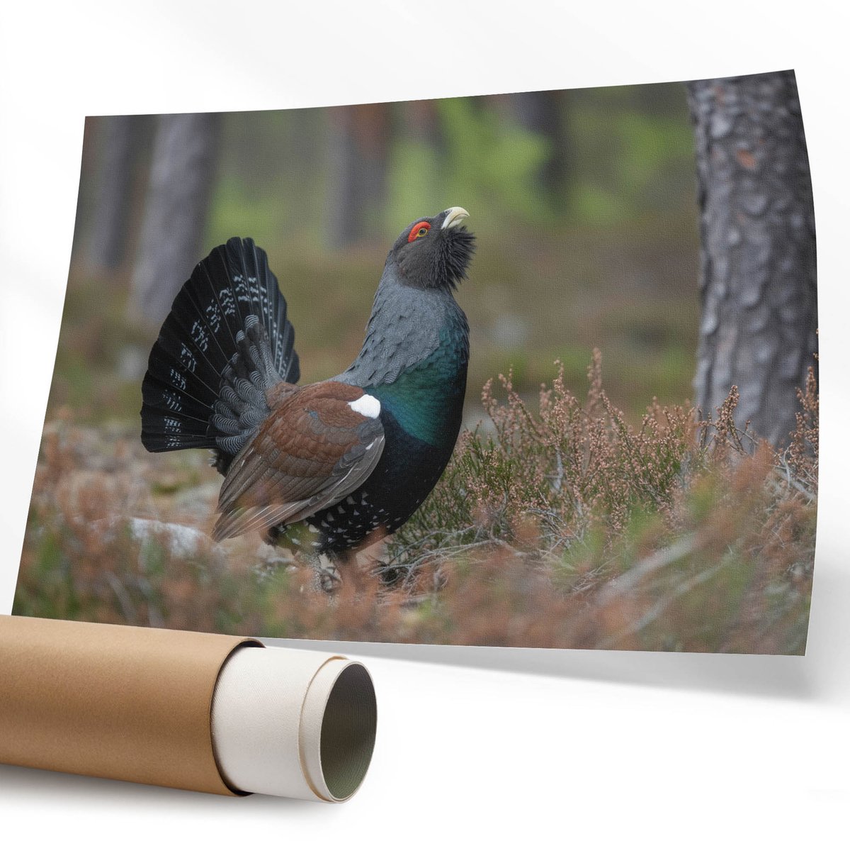 Coloray Polycanvas Wandposter - Artistieke Olifant, Fotografie - 594 x 840 mm - Grijs Design - Rechthoek - Canvasposter - Woonkamer - Klassiek