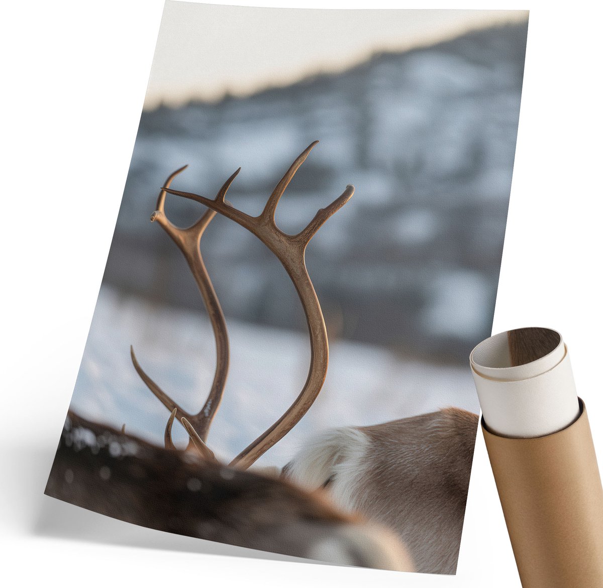 Coloray Polycanvas Poster - Winterrendieren, Fotografie - 210 x 297 mm - Bruin Illustratie - Rechthoek - Muurdecoratie - Woonkamer, Slaapkamer, Kantoor - Klassiek