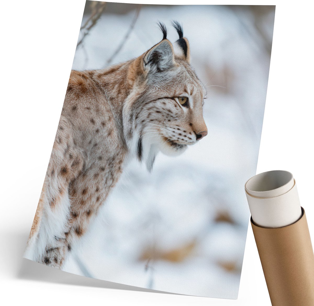 Coloray Polycanvas Wandposter - Winterlynx, Fotografie - 210 x 297 mm - Wit Poster - Rechthoek - Muurkunst - Woonkamer, Slaapkamer, Kantoor - Modern