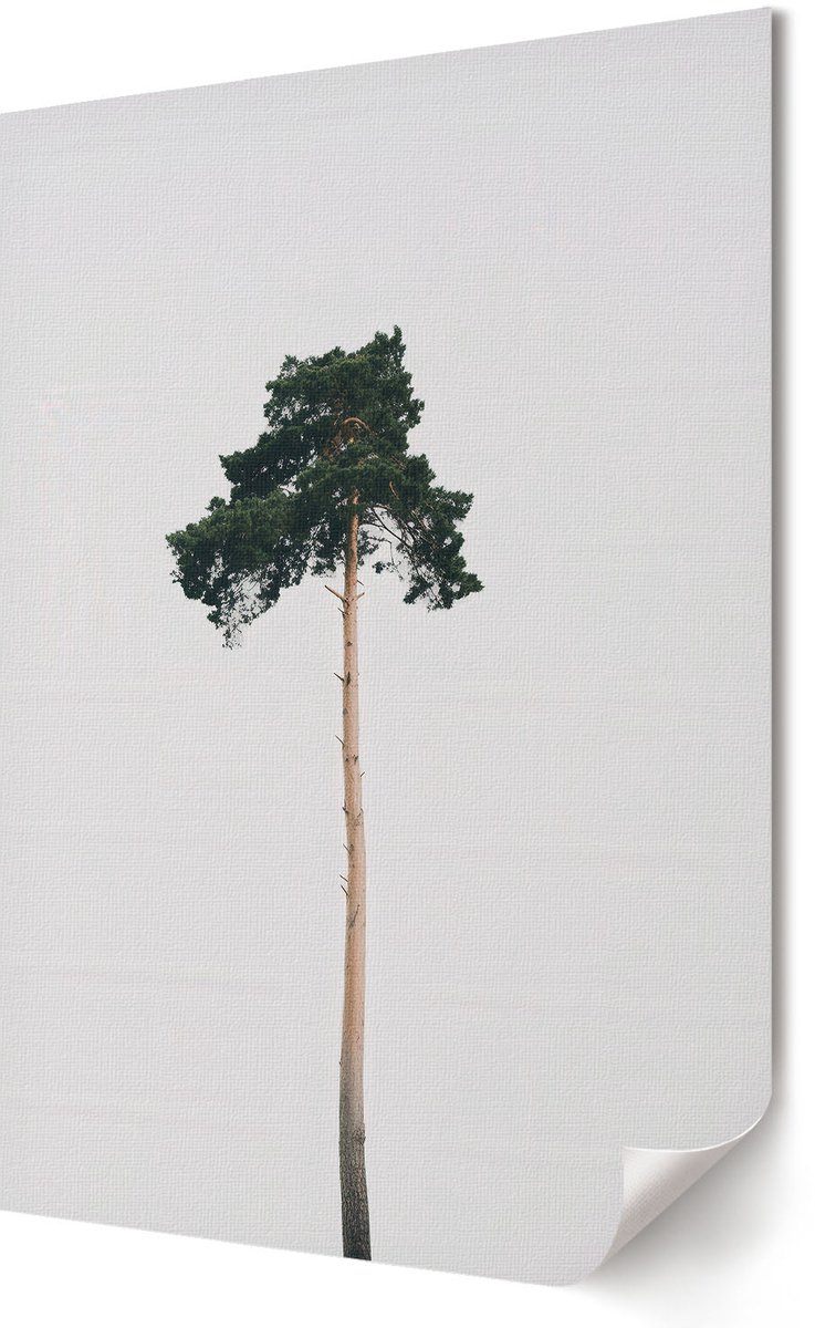 Coloray Polycanvas Poster - Eenzame Boom, Fotografie - 594 x 840 - Wit Wandposter - Rechthoek - Muurdecoratie - Woonkamer - Minimalist
