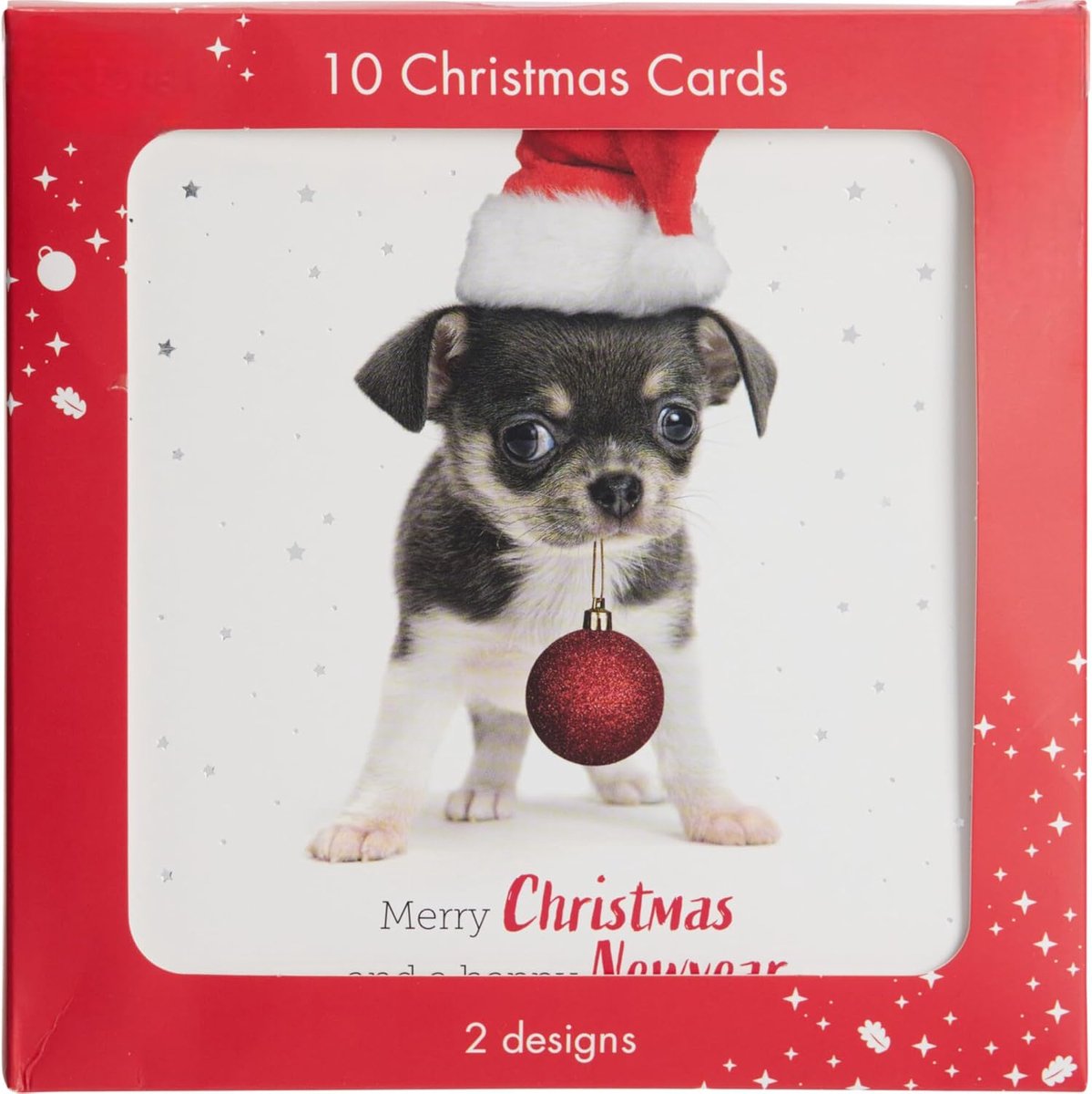 Dailygoods- Kerstkaarten Set 10 Stuks - 2 Ontwerpen - 14x14 cm Vouwbare Kaarten - Blanco Binnenkant - Feestelijke Wenskaarten - Liefdevol Ontworpen