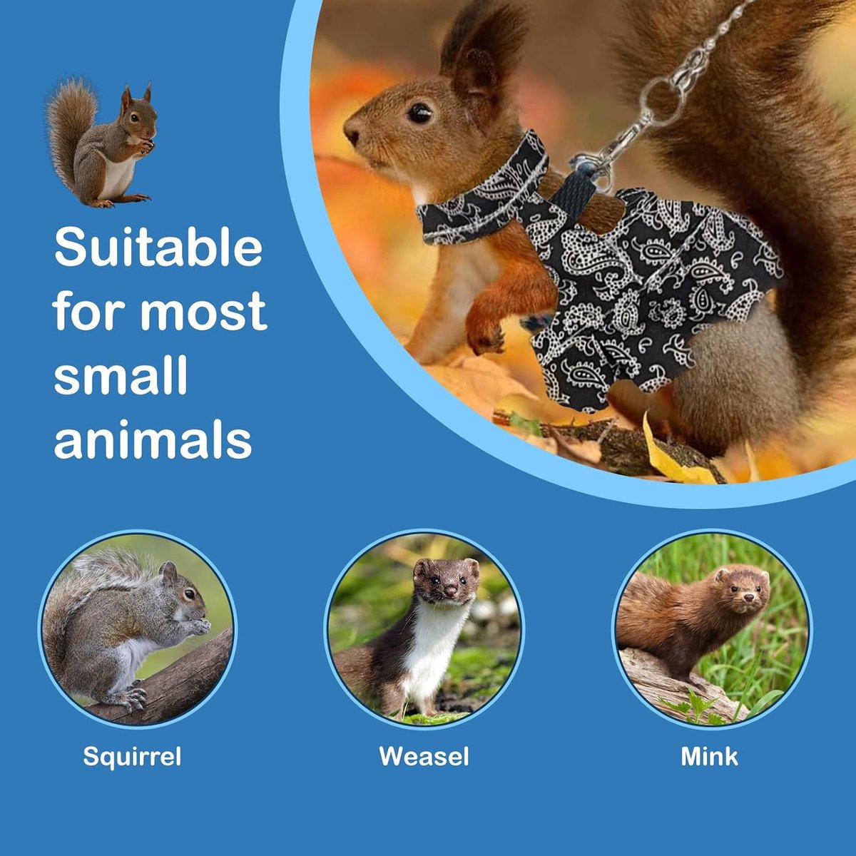 3-pack cavia-harnas rok kleding en riem, verstelbare hamster fret harnas en riem set, anti-trek wandelvest voor fretten, chinchilla's en soortgelijke kleine dieren (zwart S)