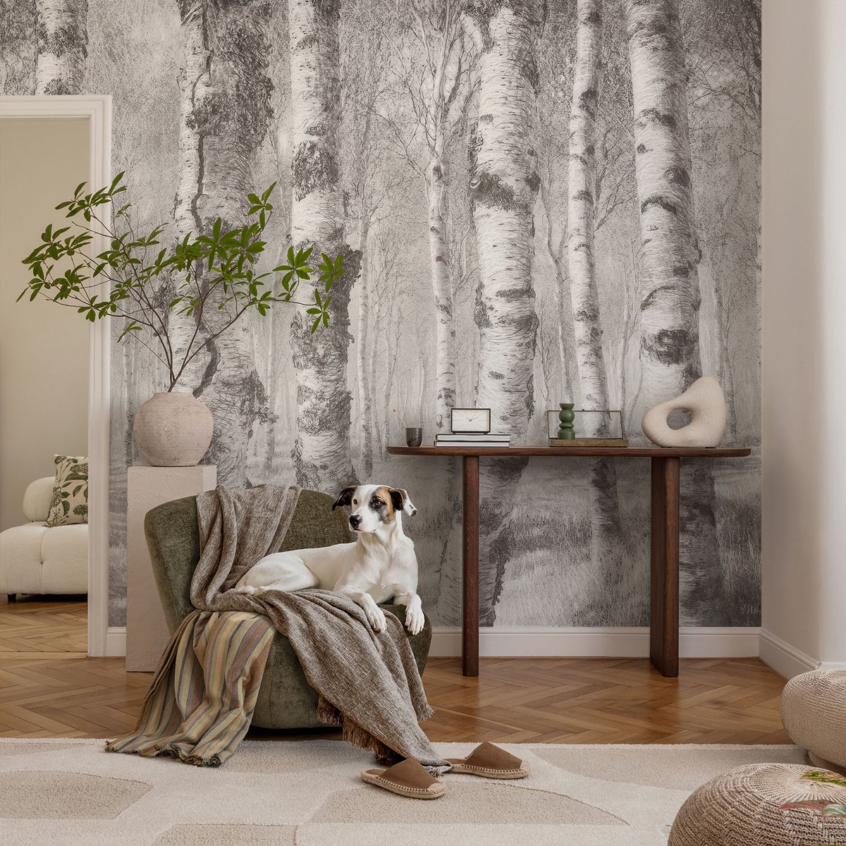 Coloray Vliesbehang - Grijs Snellijm Behang - 104x70 cm - Berkenbos Fotobehang Vlies - Hal behang Landschappen - Muurschildering - Woonkamer behang